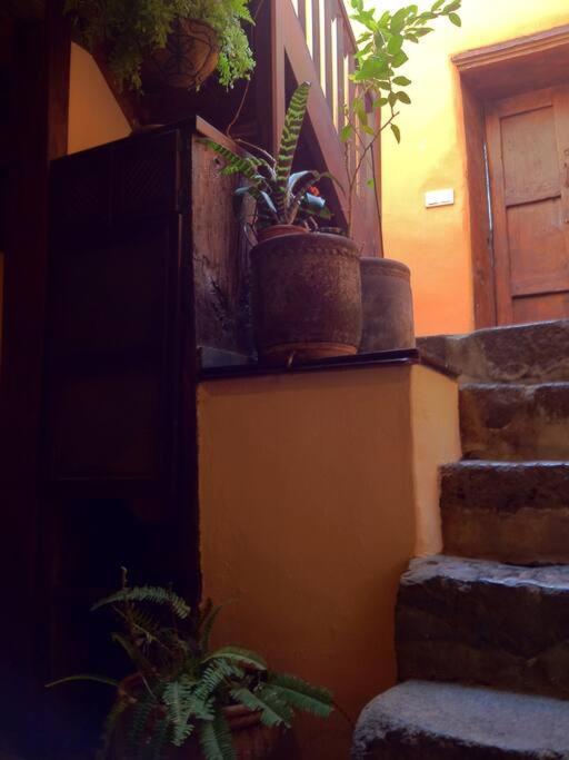 Casa Montanez, Caseron Historico 圣克鲁斯-德拉帕尔马 外观 照片
